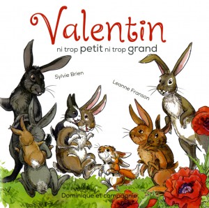 Valentin book cover